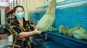 415K views · 18K reactions | Kampong som market show buy geoduck clam from market | Cooking With Sros | Facebook