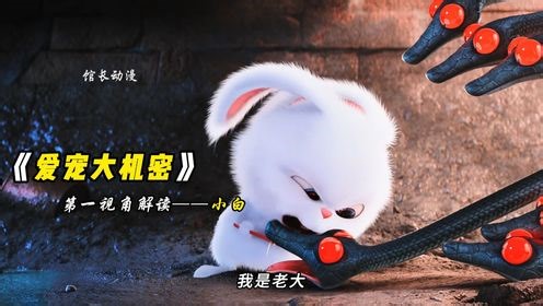 以“小白”的视角打开《爱宠大机密》，温柔是我的代名词