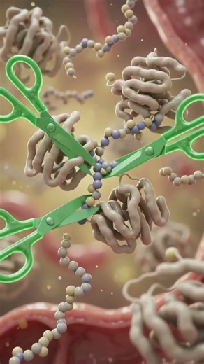What Happens Inside Your Body When You Drink Soy Milk? 🥛🌱