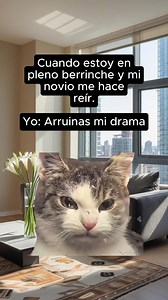 Cuando arruina tu drama. | Tu Gato Curioso