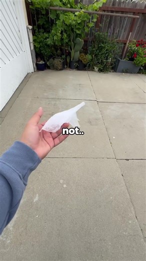 Banned From Selling Snacks at School: What's Next?