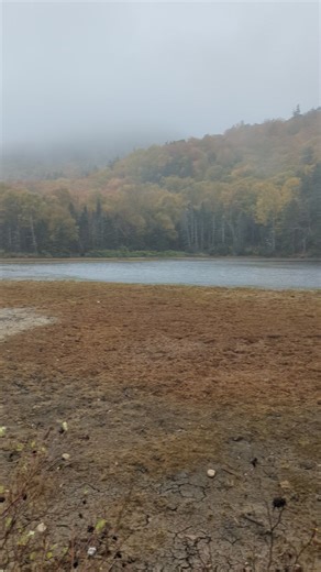 You can see how low Saco Lake is from this angle as well, Crawford Notch, NH, 9 25 25 | The Nature Nomad