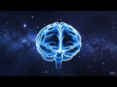 Why Networks Scale But Humans Don't - A critical Debate