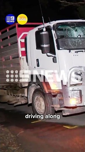 Adelaide Crows icon fighting for life | 9 News Australia