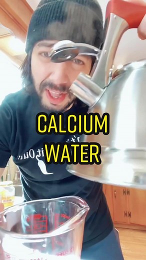 Eggshell Plant Magic Revealed - Creative Garden Tips & Tricks