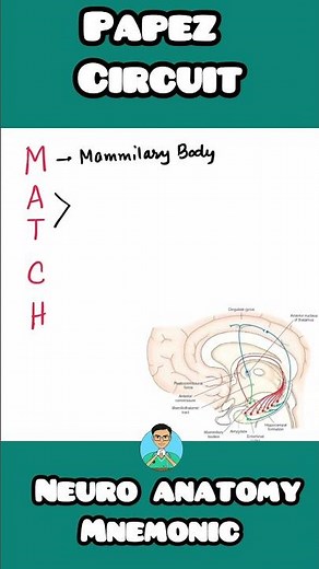 Papez circuit components easy to remember with simple mnemonic