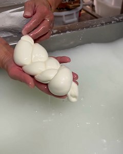 4.9M views · 3.3K reactions | Making buffalo mozzarella in Italy  | Tyla | Facebook