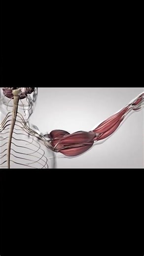 10 Most Unique Bodybuilders Ever | Rare Transformations & Extreme Bodies. #bodybuilding