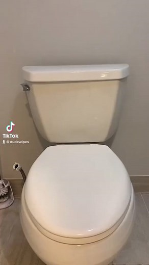 Upgrade Your Bathroom Routine with the Dude Wiper 1000 Bidet | Doge Wiper
