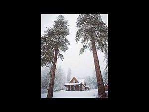 NF - You're special ( Remix )