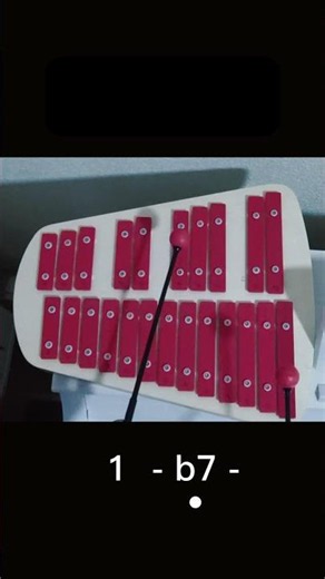 Xylophone for Beginners | Xylophone Sound & Playing Demonstration