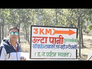 उल्टा पानी | Ambikapur | MAINPAT | मैनपाट | Ulta paani | Zero Gravity | पानी ऊपर की ओर बहती है
