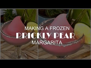 Making a Prickly Pear Margarita in a Spaceman Frozen Beverage Machine