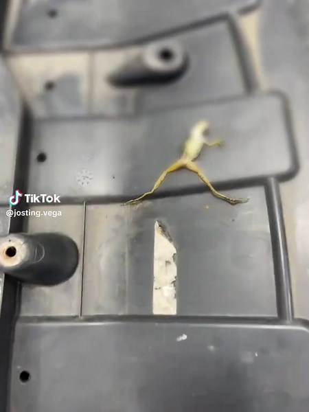 Changing Clothes in the Lobby: Casual Fashion Choices