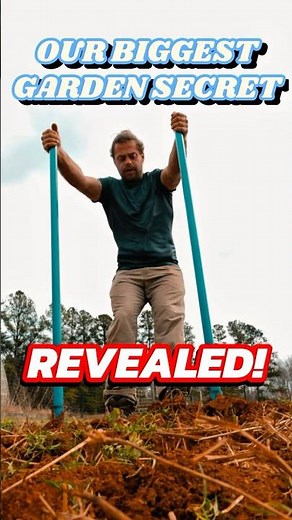 Can a Broad Fork Change Your Garden Forever?