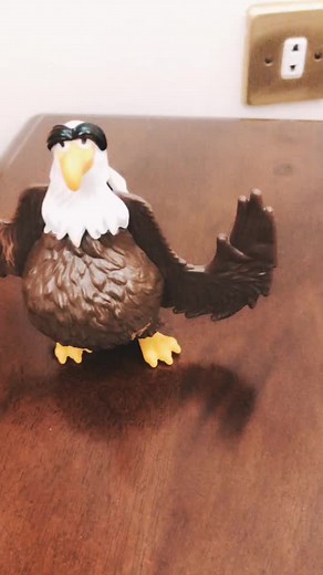 حسابات مقترحة