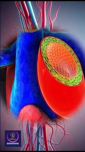 How Arteries, Veins, and Capillaries Work and Differ from Each Other