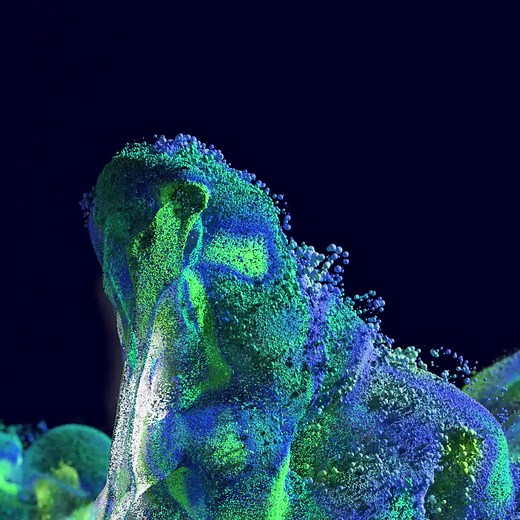 Steam Distillation | Buchi.com