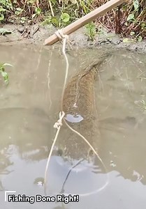 9.9M views · 3K reactions | Fishing Done Right!  #fishing #fish | Creative Instructions | Facebook