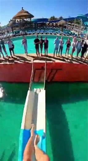 Waterslide into pool full of giant fish #funny #memes