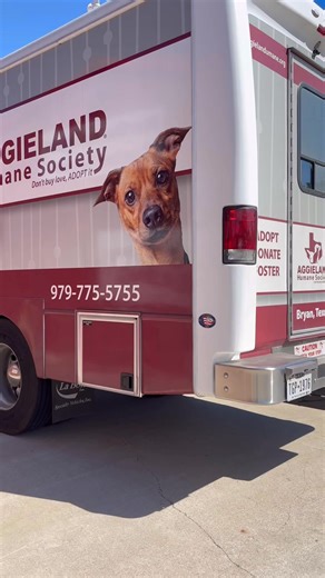 22K views · 507 reactions | Everyone wish our transport team and the 21 dogs on board a safe trip to Oregon! Thank you for taking in some Texas pups Street Dog Hero!  | Aggieland Humane Society | Facebook