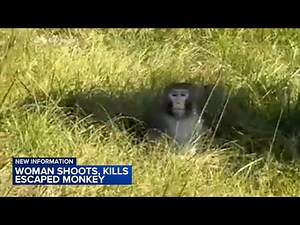 Mississippi woman kills escaped monkey fearing for her children's safety