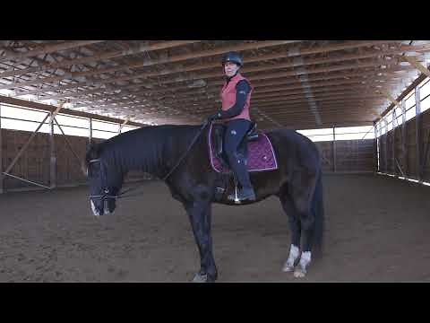 How to Improve Your Trot Rhythm - Learn this fun exercise for you and your horse.#trottinghorse