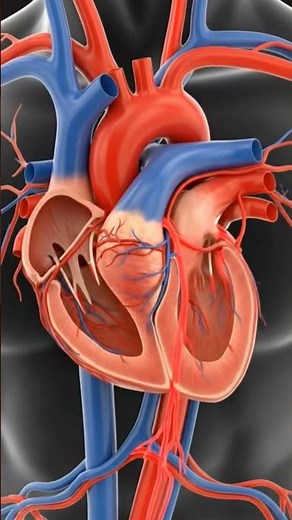 Heart Anatomy #HeartAnatomy #MedicalBiochemistry #MedicalEducation #DreamScreenAI