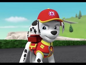 PAW Patrol Marshall Tribute
