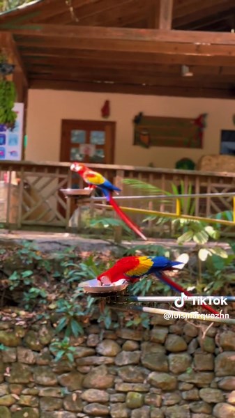 Descubre Copán Ruinas, mi pueblo favorito en Honduras