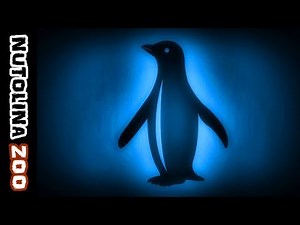 Penguin sounds / Penguin noises / Animal sounds penguin