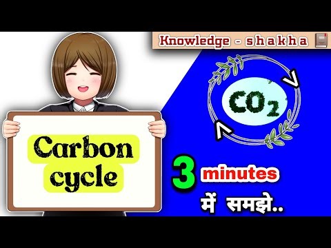 Carbon cycle in hindi - कार्बन चक्र आसानी से समझे
