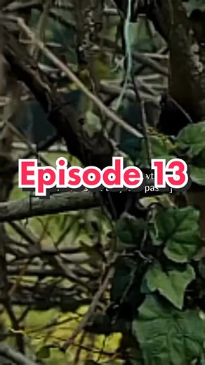 Réponse à @mazerunner.htr partie 13 #histoire #labyrinthe #mazerunner #tp #newt #pourtoi