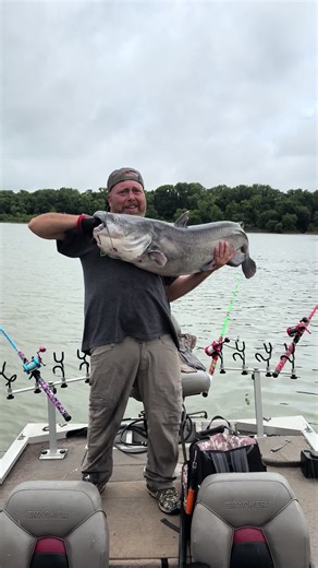 Here’s a tank blue catfish that I caught yesterday on the Mighty Ohio River. The storms had the fish feeding #ohioriverfishing #bluecatfish #riverfishing #rivermonster #fishtok