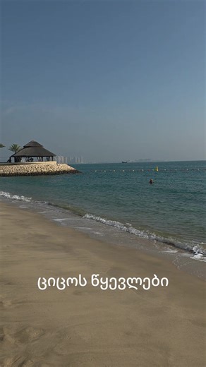 Chocolate Lab Salvador (@chocolate_lab_salvador)’s videos with original sound - Chocolate Lab Salvador