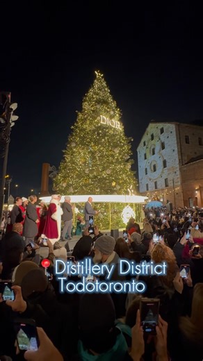 145K views · 22 reactions | #Todotoronto Christmas Tree Lighting #christmas #toronto #torontothingstodo #torontodateideas #torontolife #distillerydistrict | Todotoronto | Facebook