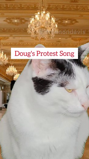Doug's Protest Song Against Trump: Join the Resistance