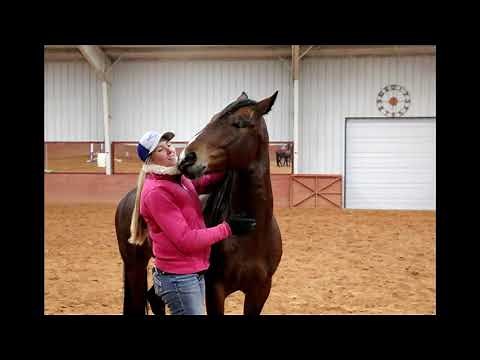 This horse loves kisses!