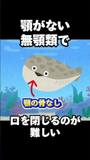 【生物】大バズりした古代魚サカバンバスピスって？#雑学 #解説 #生物 #サカバンバスピス #古代魚 #オルドビス紀