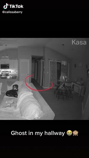 Phénomène paranormal