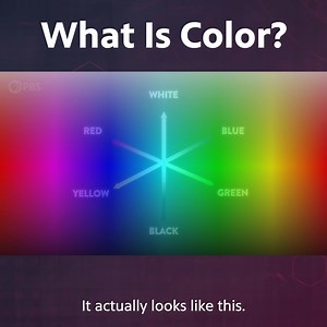 77K views · 1.6K reactions | What Is Color? | Be Smart | Facebook