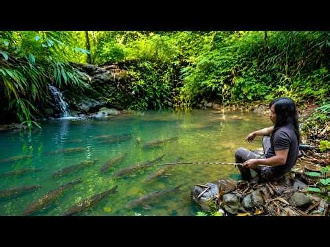 Fishing, trapping wild chickens, searching for wild food - Surviving alone in the deep forest