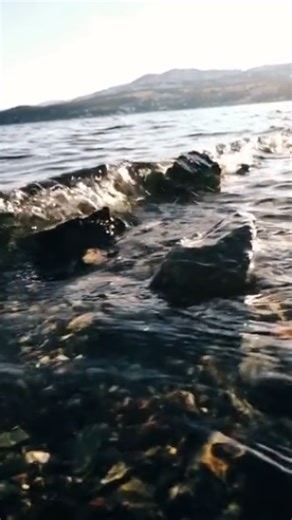 I changed my photography approach and captured better moments