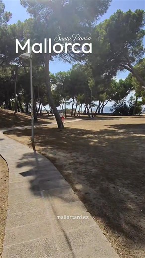 A three minute walk through Santa Ponsa on a perfect summer day feels like stepping straight into a holiday dream The streets are lined with palm trees the sun sparkles on whitewashed facades and in the distance the turquoise waters of the Mediterranean call you closer Every step brings the sound of waves a glimpse of golden sand and the relaxed atmosphere that makes Santa Ponsa one of the most beloved beach destinations in Mallorca Families stroll with ice cream in hand friends laugh as they he