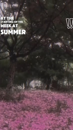 Tokyo Drift - Six Days | Lyrics edit ❤️🔥 | #shorts #trending