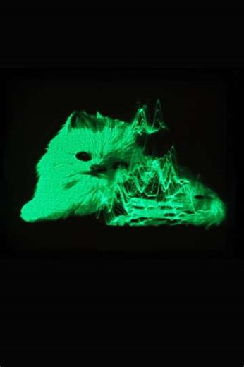 My Favorite Object - Movie