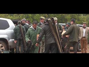 Partridge Shooting in Spain. El Despeñadero