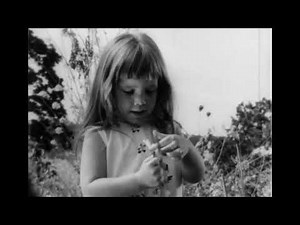 Lyndon B. Johnson 1964 Campaign Ad [“Daisy”]