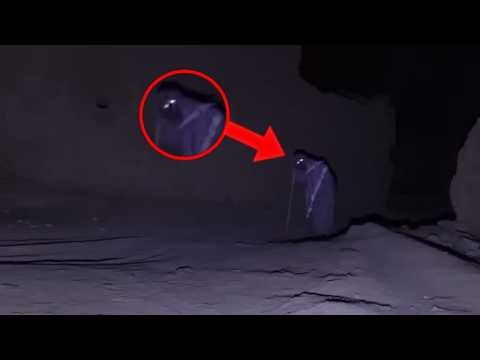 5 Disturbing Jinn Encounters Caught in Arabic Homes