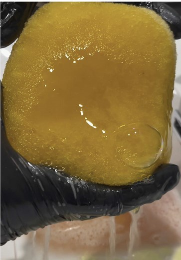 Dettol soaked sponge w FC & DS yommm #cleantok #visualasmr #spongesqueezingasmr #asmrsounds #creatorsearchinsights #sponge #cleaning #suds #sudssquad🧼